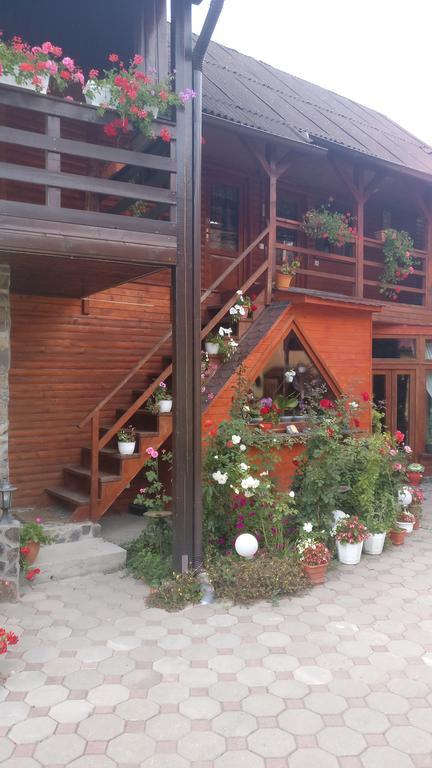 Pensiunea Liana Nemsa Exterior photo