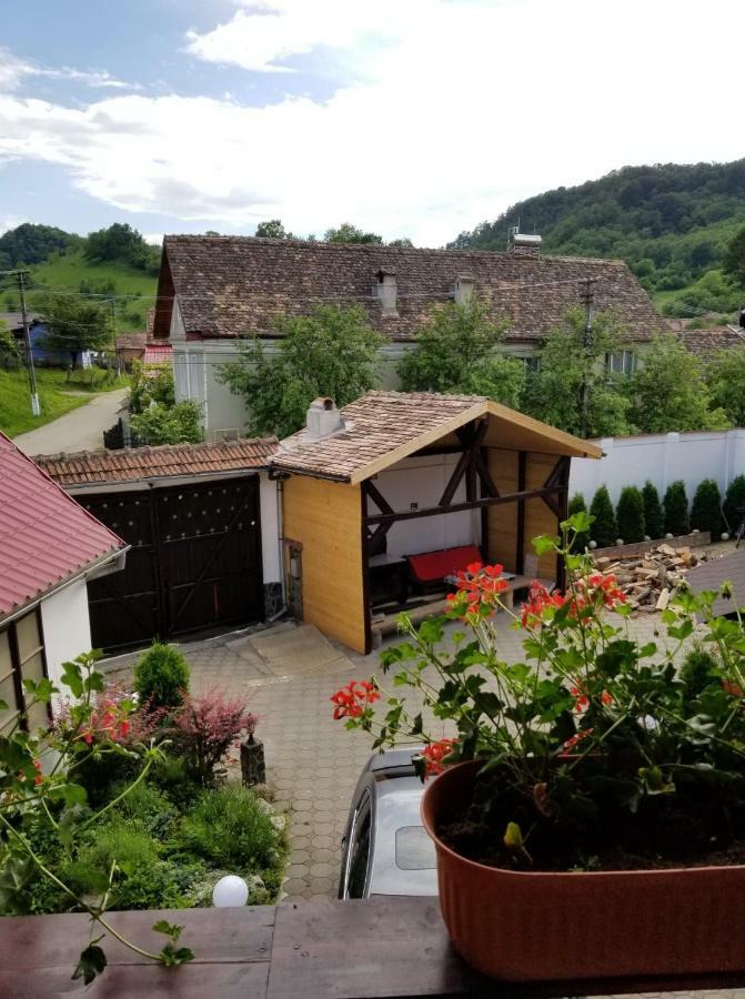 Pensiunea Liana Nemsa Exterior photo