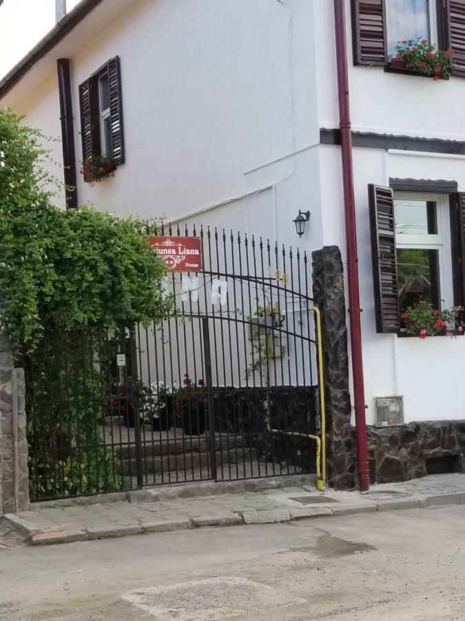 Pensiunea Liana Nemsa Exterior photo
